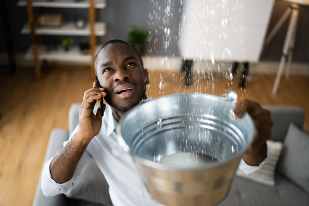 Best Flood damage cleanup  in Ellis, KS