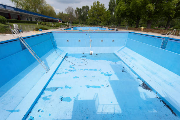 Best Flood damage cleanup  in Ellis, KS