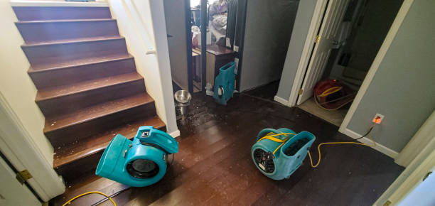 Best Residential water damage restoration  in Ellis, KS