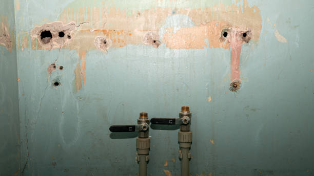 Best Water damage restoration company  in Ellis, KS