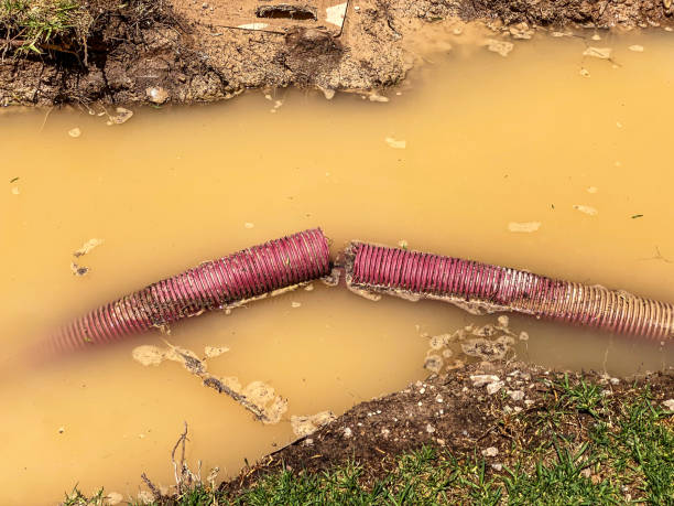 Best Water damage contractors near me  in Ellis, KS