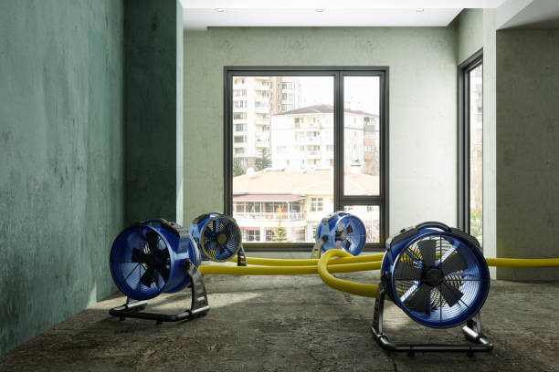 Best Basement water damage restoration  in Ellis, KS