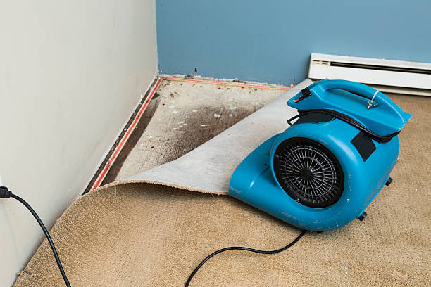 Water damage restoration process in Ellis, KS
