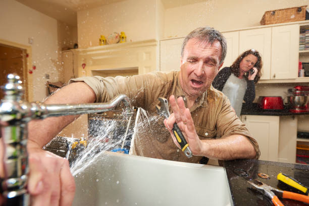 Best Mold removal after water damage  in Ellis, KS
